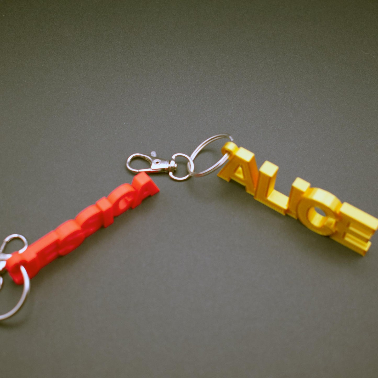 Backpack Name Tag and keychain, personalized 3D Printed and easy to read with block letters.